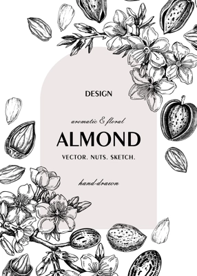 Almond nut frame, spring design. Blooming branches, nuts, flower sketches. Hand-drawn vector illustration. Greeting card or invitation template . NOT AI generated